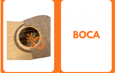 Tarjetas partes del timple